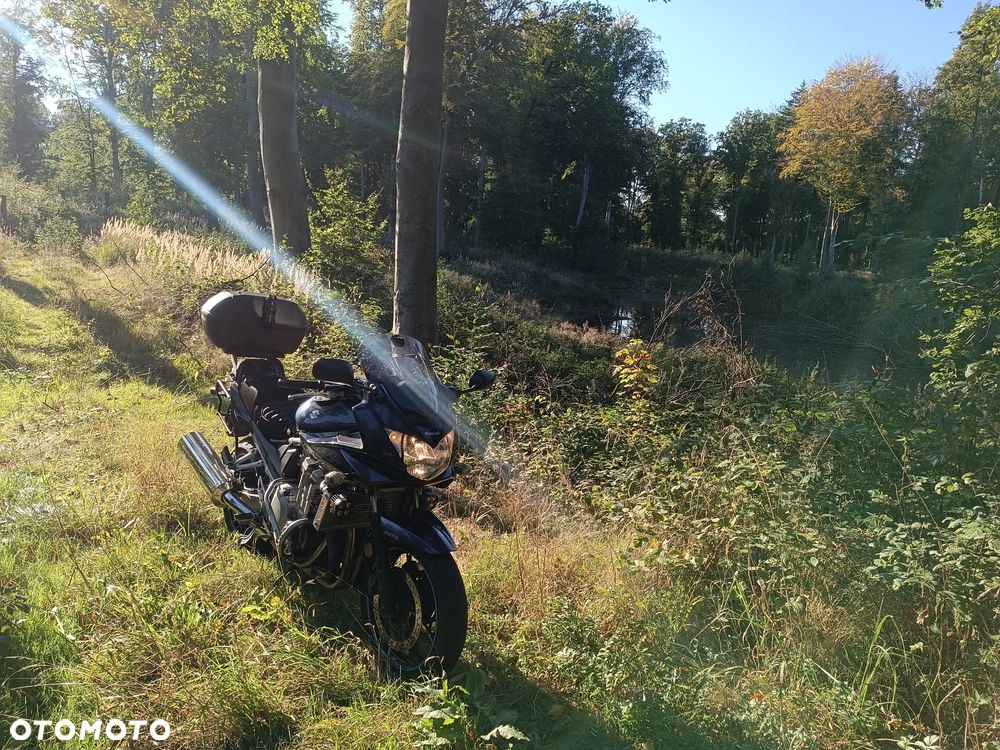 Suzuki Bandit - 11