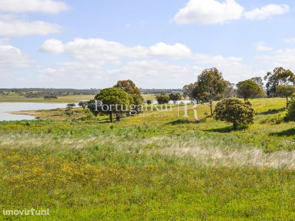 Terreno para construção de Exploração Agrícola - Grande imagem: 5/16