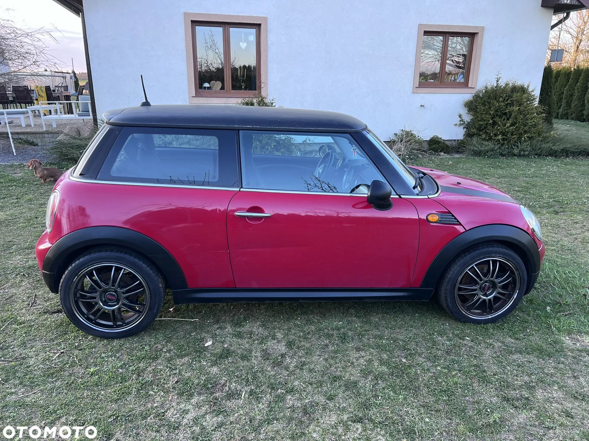 MINI Cooper D - 1