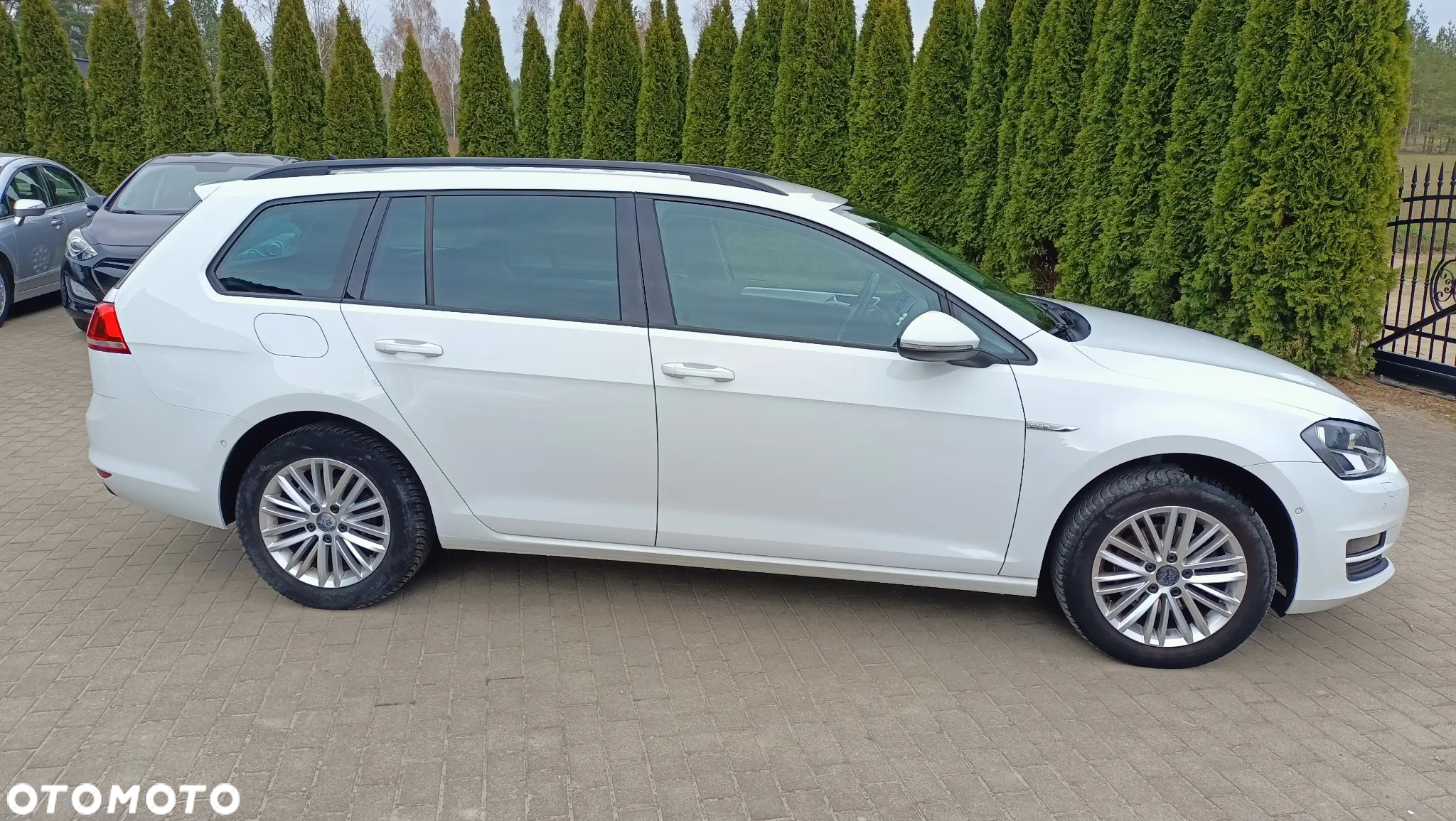 Volkswagen Golf 1.6 BlueTDI Cup - 11
