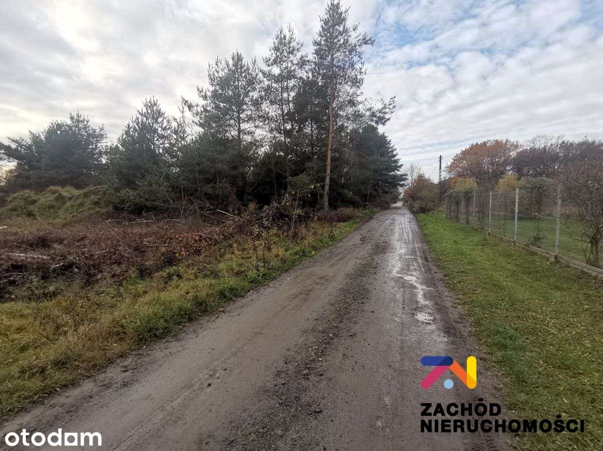 Działka Budowlana W Droszkowie -Os. WiŚNiowe - Pełny obrazek: 5/5