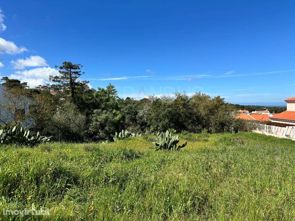 Lote Moradia Venda Sesimbra - Grande imagem: 3/12