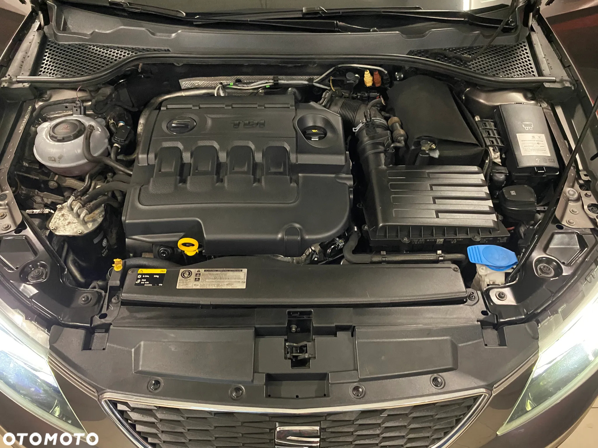 Seat Leon 2.0 TDI X-Perience S&S 4Drive DSG - 27