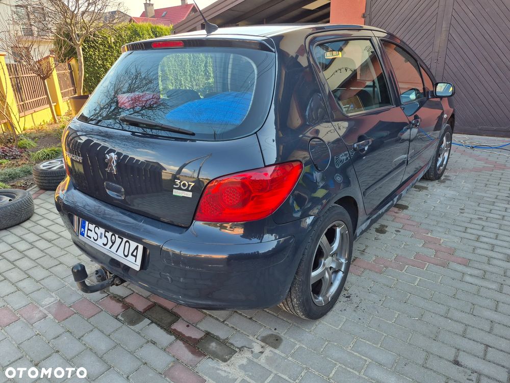 Peugeot 307 - 10