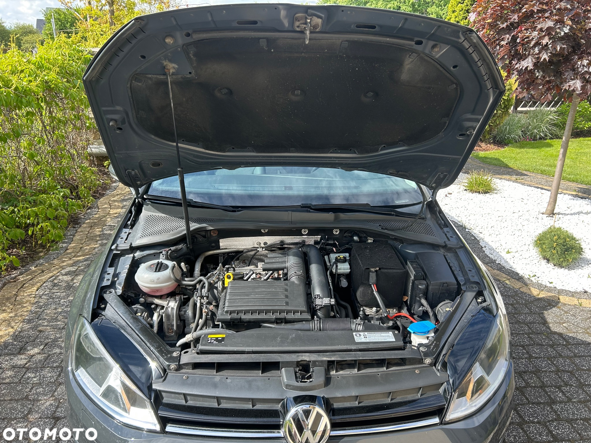 Volkswagen Golf Variant 1.4 TSI BlueMotion Technology Comfortline - 32