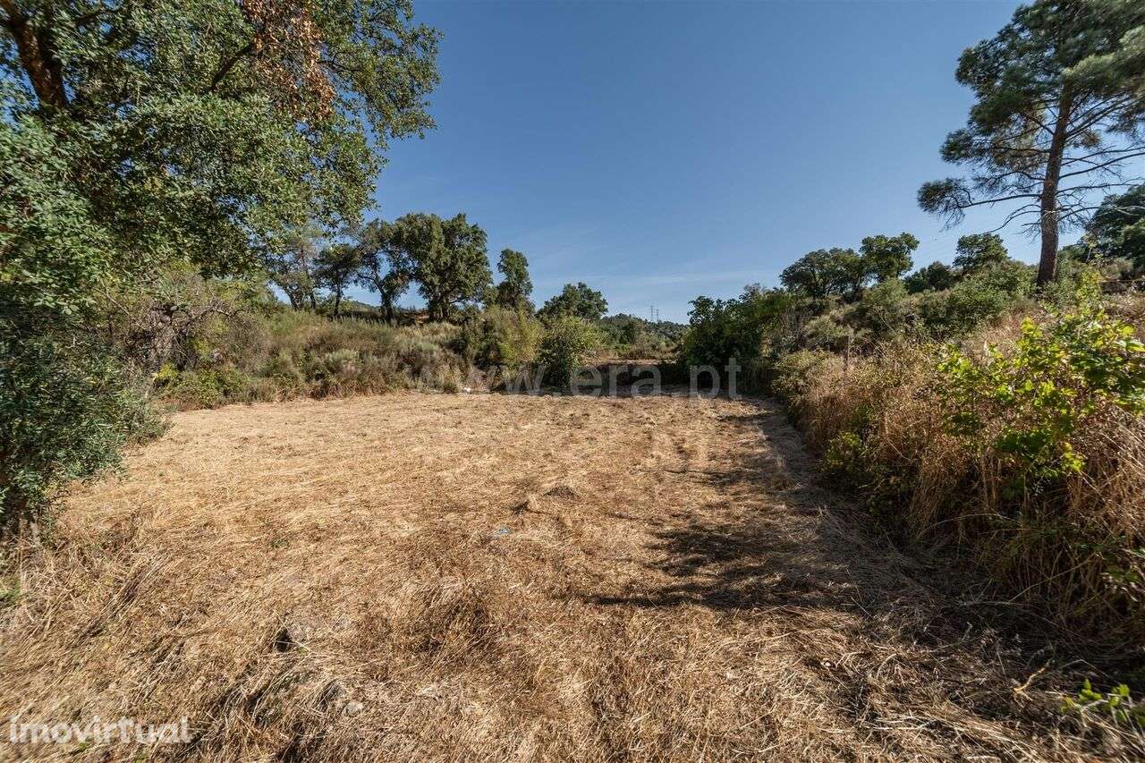 Terreno Rústico / Fundão, Pêro Viseu - Grande imagem: 2/20