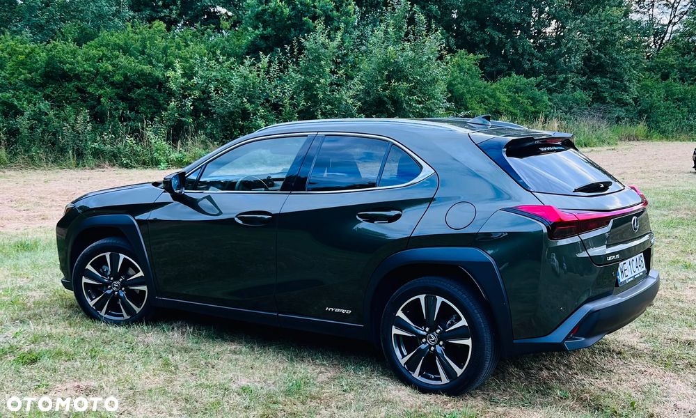 Lexus UX 250h GPF Business Edition 2WD - 6
