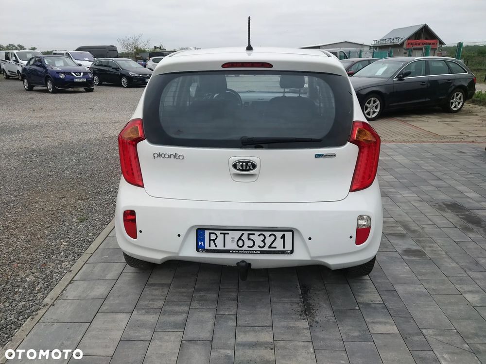 Kia Picanto 1.0 Dream Team Edition - 4