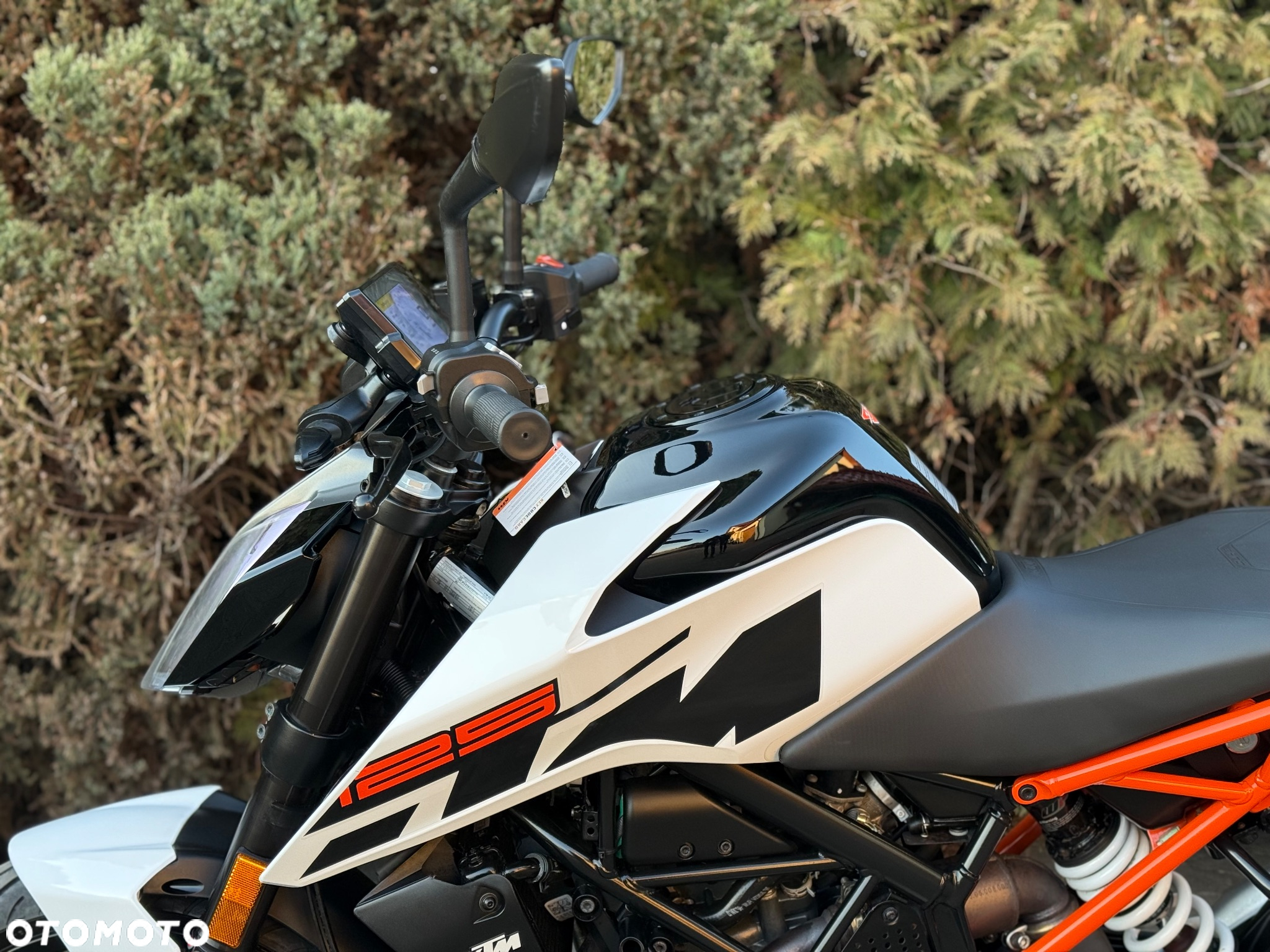 KTM Duke - 26