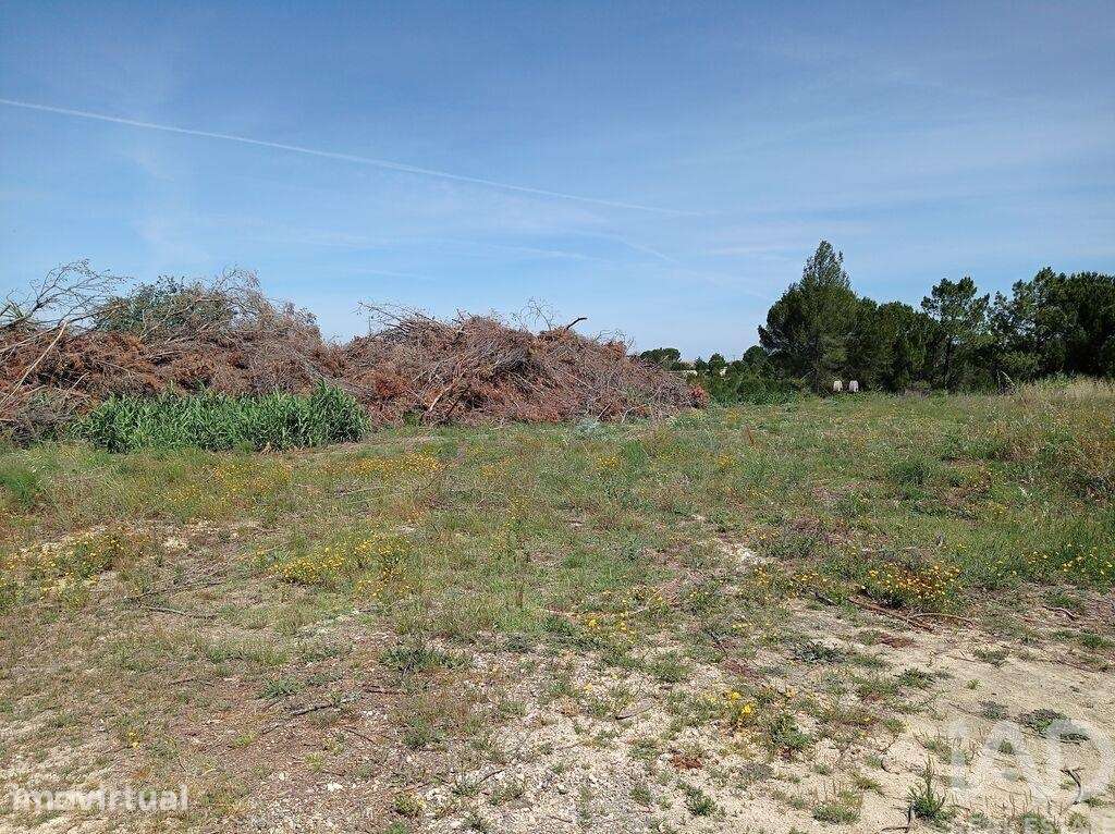 Terreno Agrícola em Madalena e Beselga - Grande imagem: 4/27