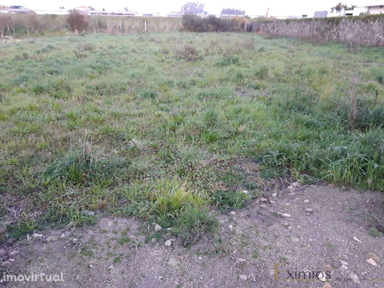 Terreno em Beiriz - Grande imagem: 4/6