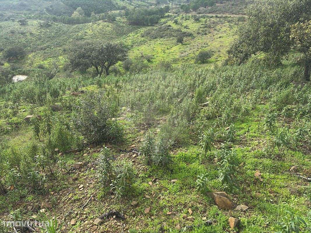 Terreno  para venda - Grande imagem: 5/10