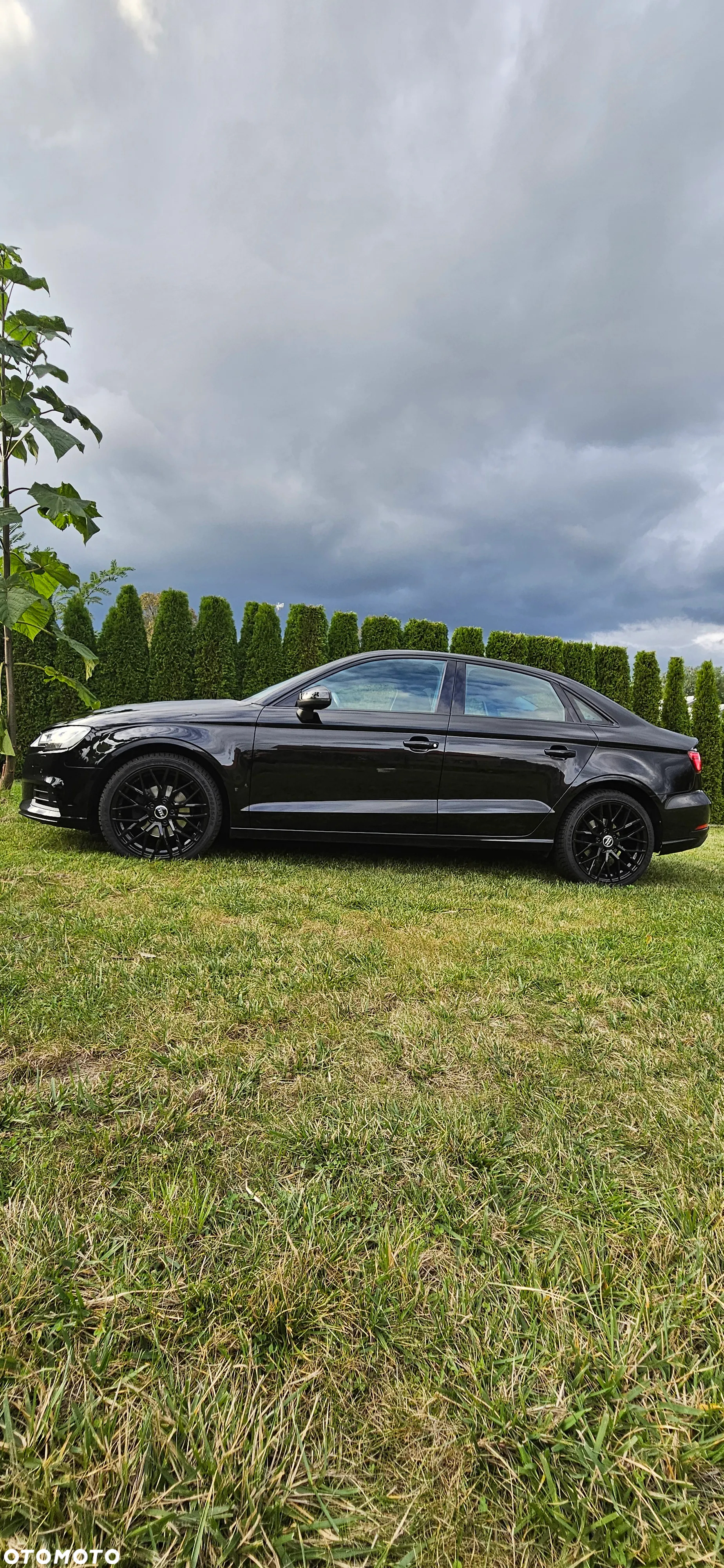 Audi A3 2.0 TDI clean diesel Ambition - 6
