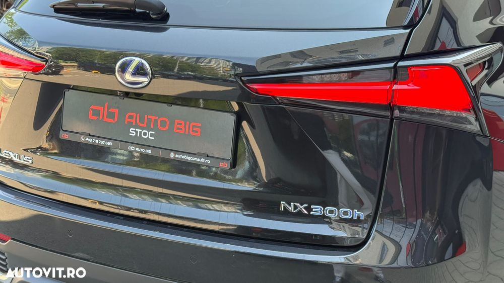 Lexus Seria NX - 7
