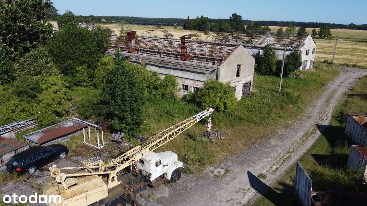 Hala magazynowa, warsztatowa, produkcyjna - Grunt 4,5 hektara - Pełny obrazek: 5/20
