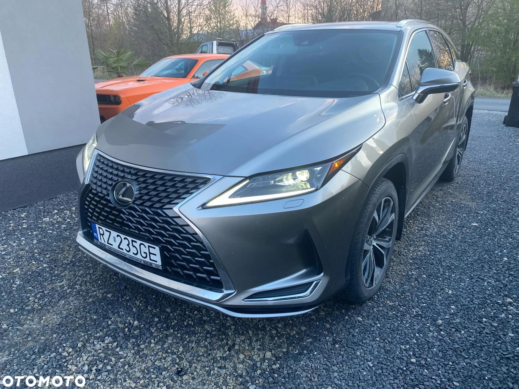 Lexus RX - 1