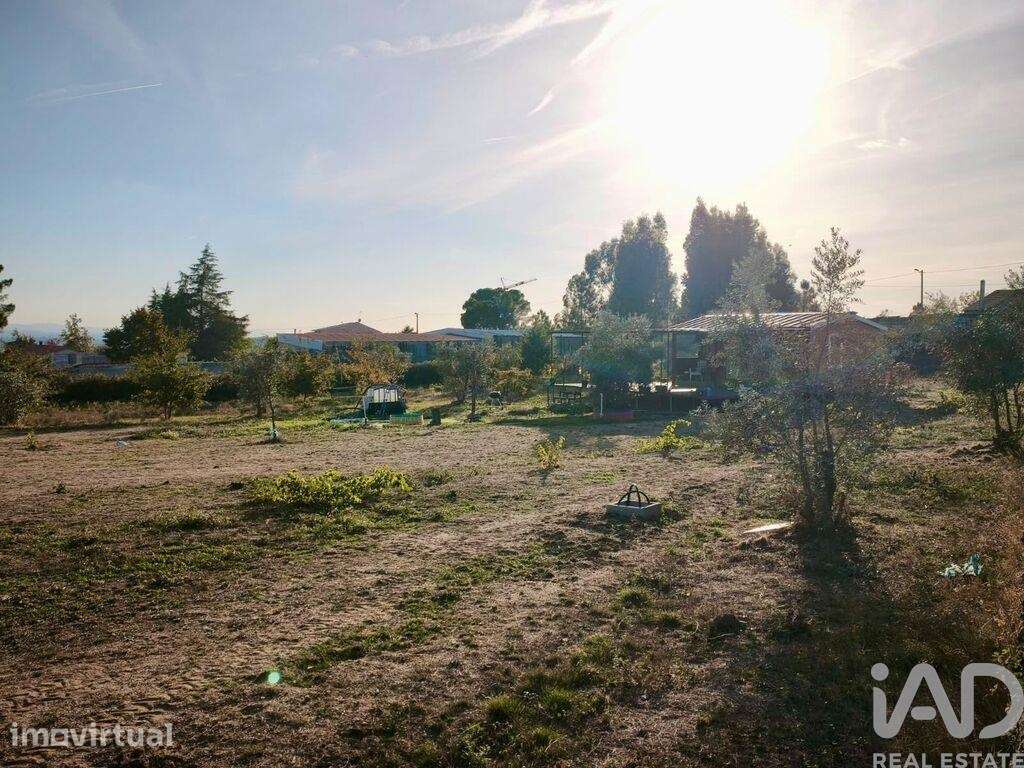 Terreno Agrícola em Nelas - Grande imagem: 3/9