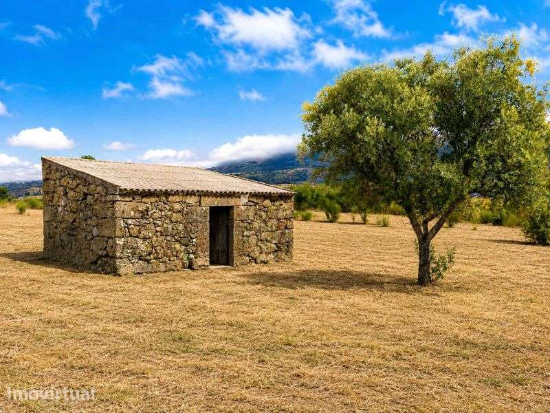 Terreno agrícola 4,93 ha | Água, EN17 e casa em pedra | Gouveia - Grande imagem: 5/11
