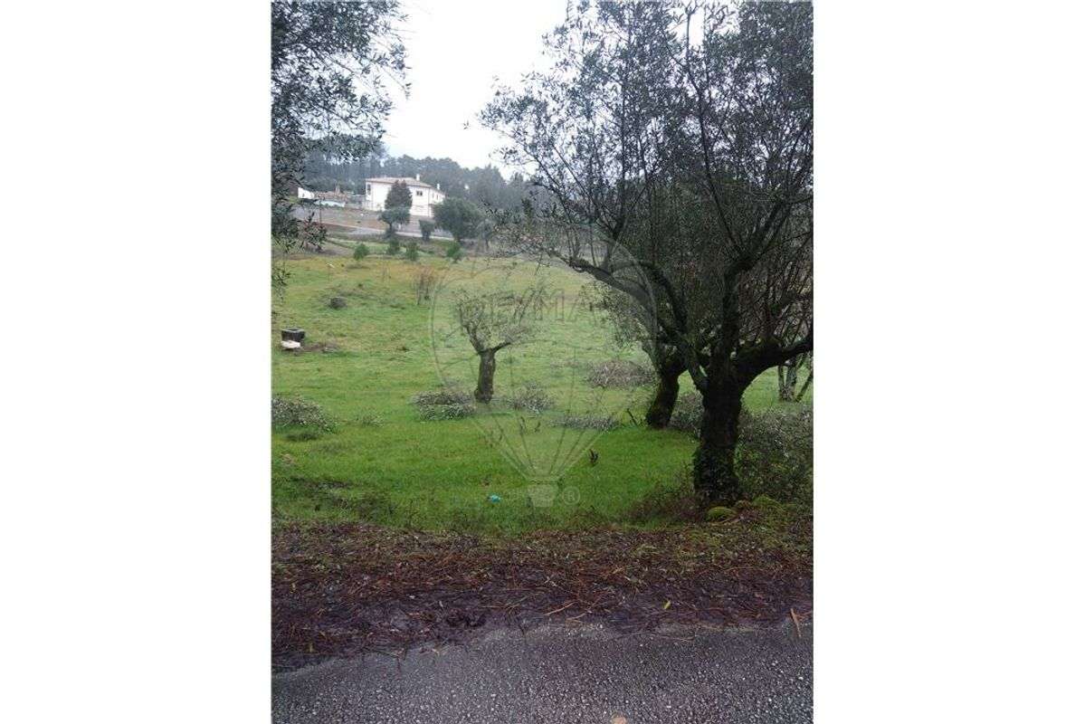 Terreno agrícola em Soucide - Grande imagem: 3/4