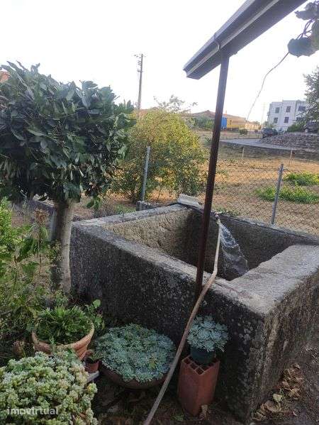 Terreno/Quinta urbanizavel - Grande imagem: 4/8