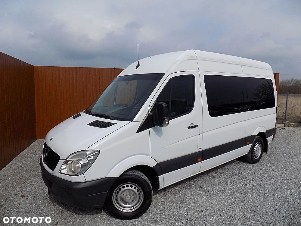 Mercedes-Benz Sprinter 313 CDI (BlueTec) 906.231 BlueEFFICIENCY - 1