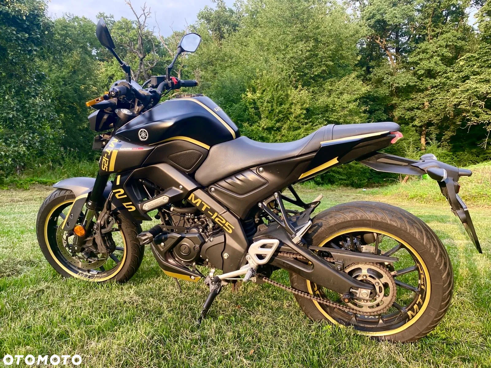Yamaha MT - 2
