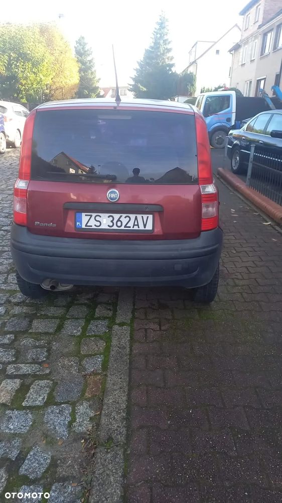 Fiat Panda - 2