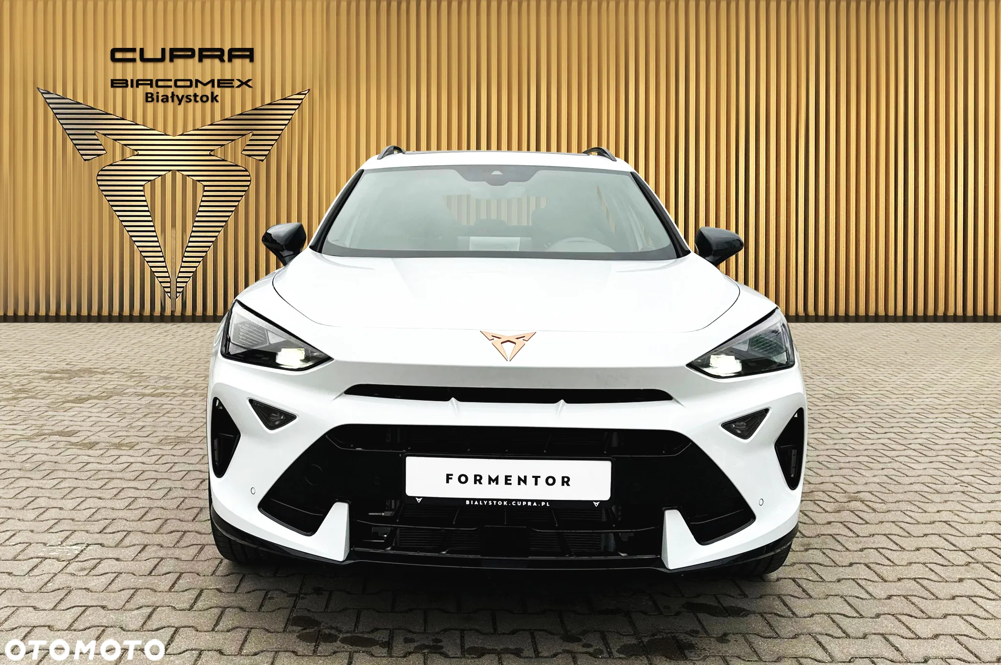 Cupra Formentor 1.5 TSI DSG - 9