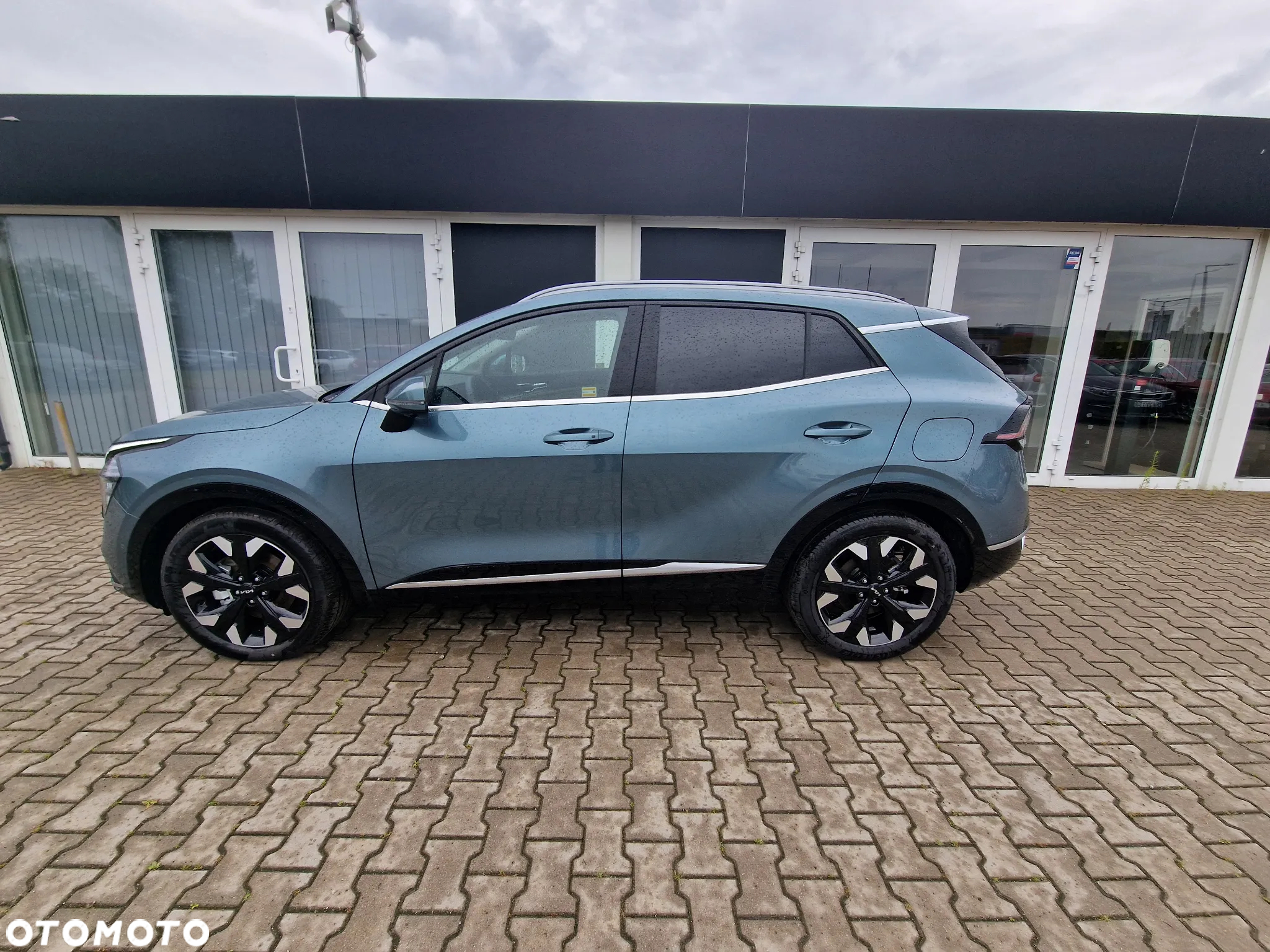 Kia Sportage 1.6 T-GDI PHEV Business Line 4WD - 3