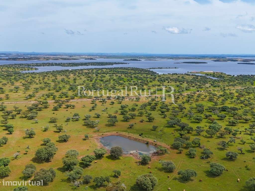 Herdade agropecuária de 550 ha junto ao alqueva com olival - Grande imagem: 2/60