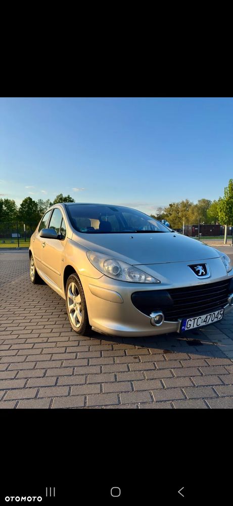 Peugeot 307 1.6 - 1