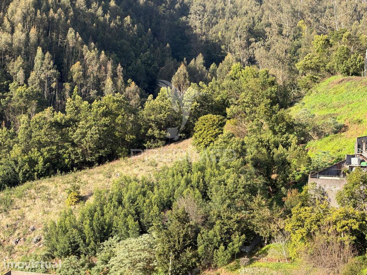 Terreno  para um projeto de Turismo Rural, bangalôs. - Grande imagem: 2/17