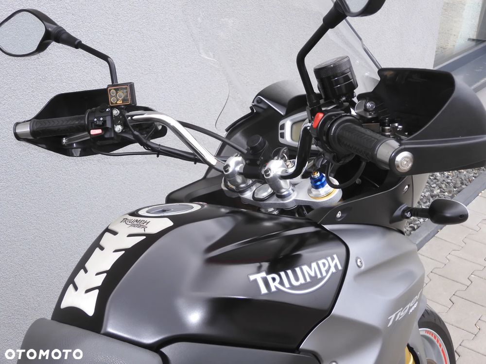 Triumph Tiger - 10