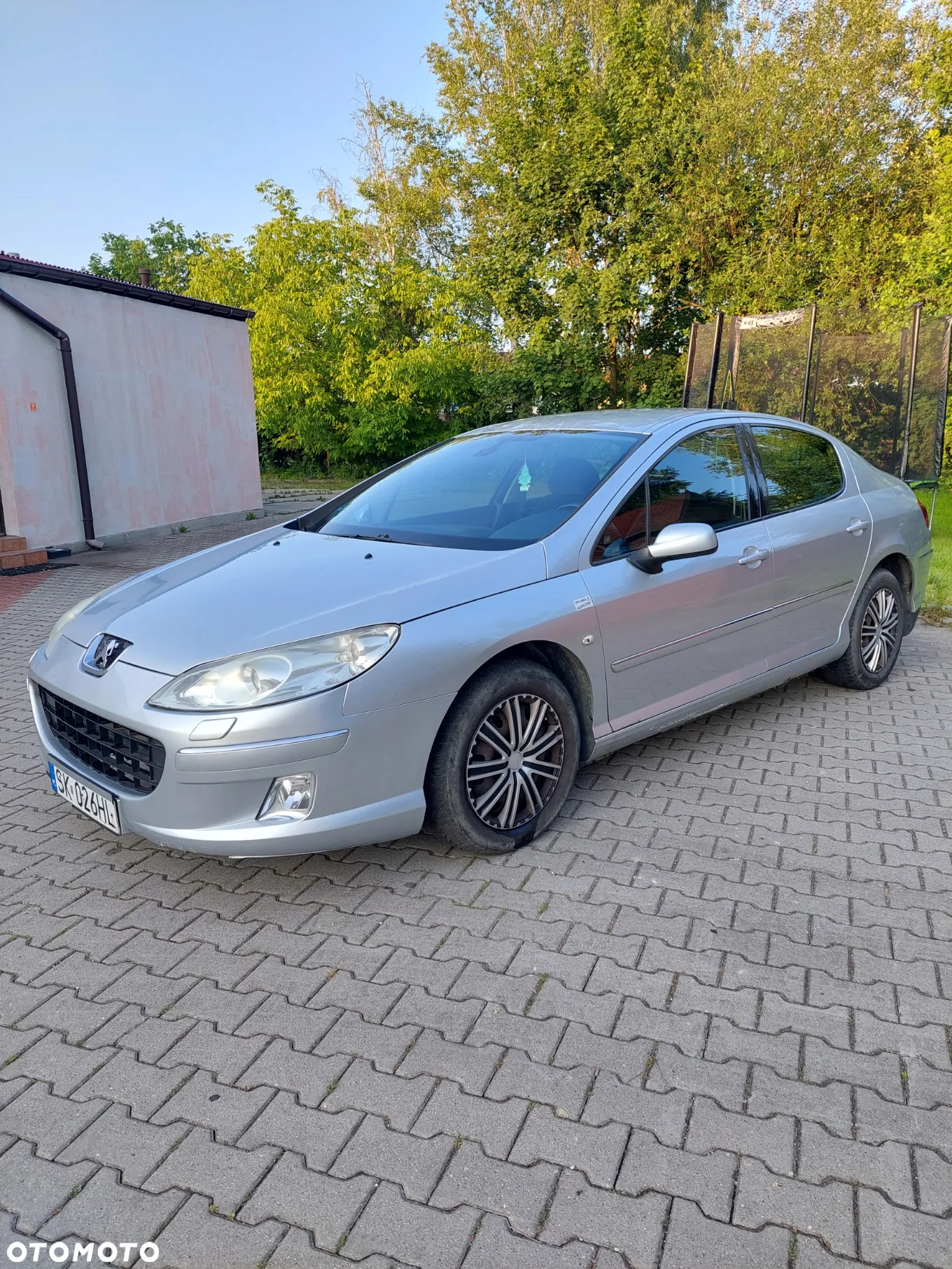 Peugeot 407 2.0 HDi Premium - 8
