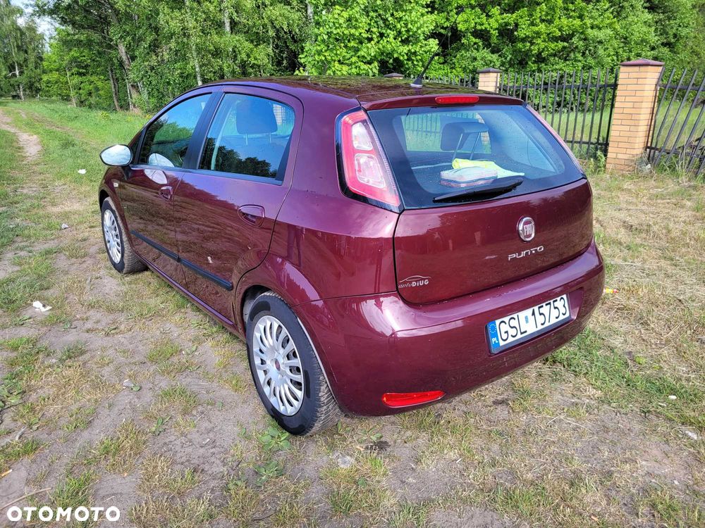 Fiat Punto - 3