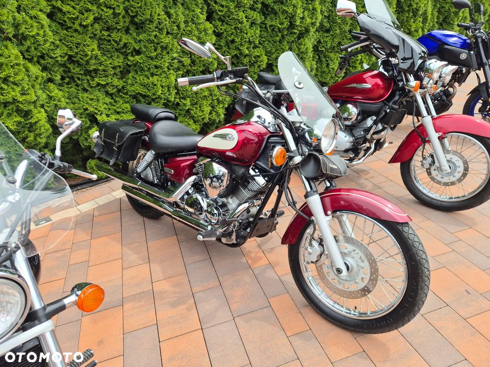 Honda Shadow - 19