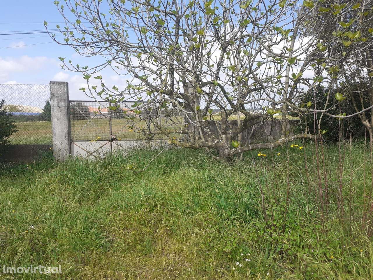 Terreno para Construção – Na Freguesia de Santo Isidro de Pegões | 629 - Grande imagem: 2/5