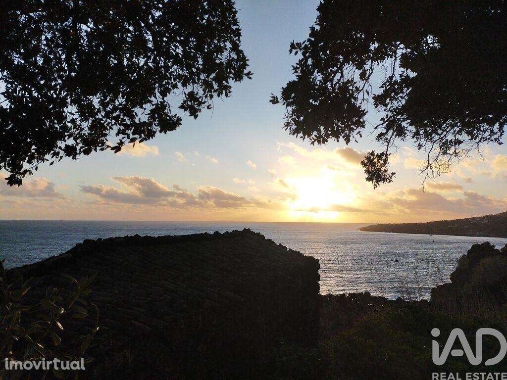 Casa / Villa T2 em São Caetano de 104,00 m2 - Grande imagem: 4/27