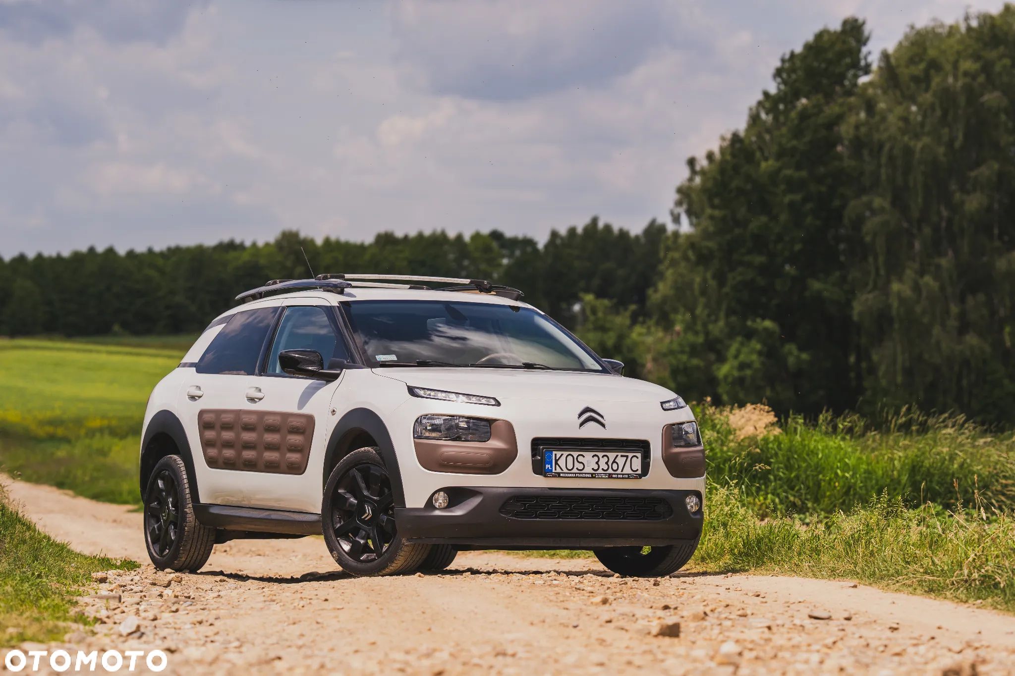 Citroën C4 Cactus - 1