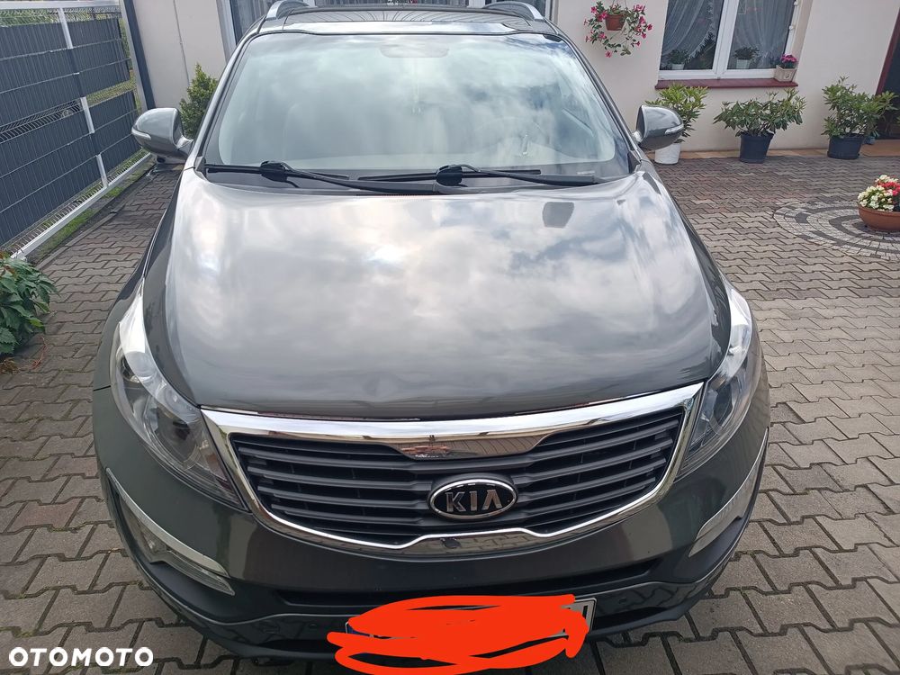 Kia Sportage - 1