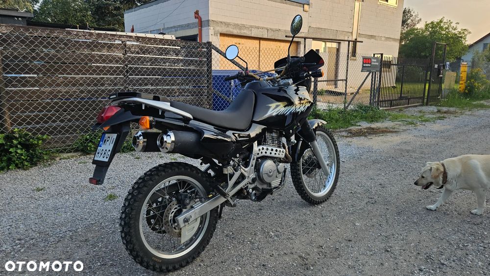Honda NX - 2