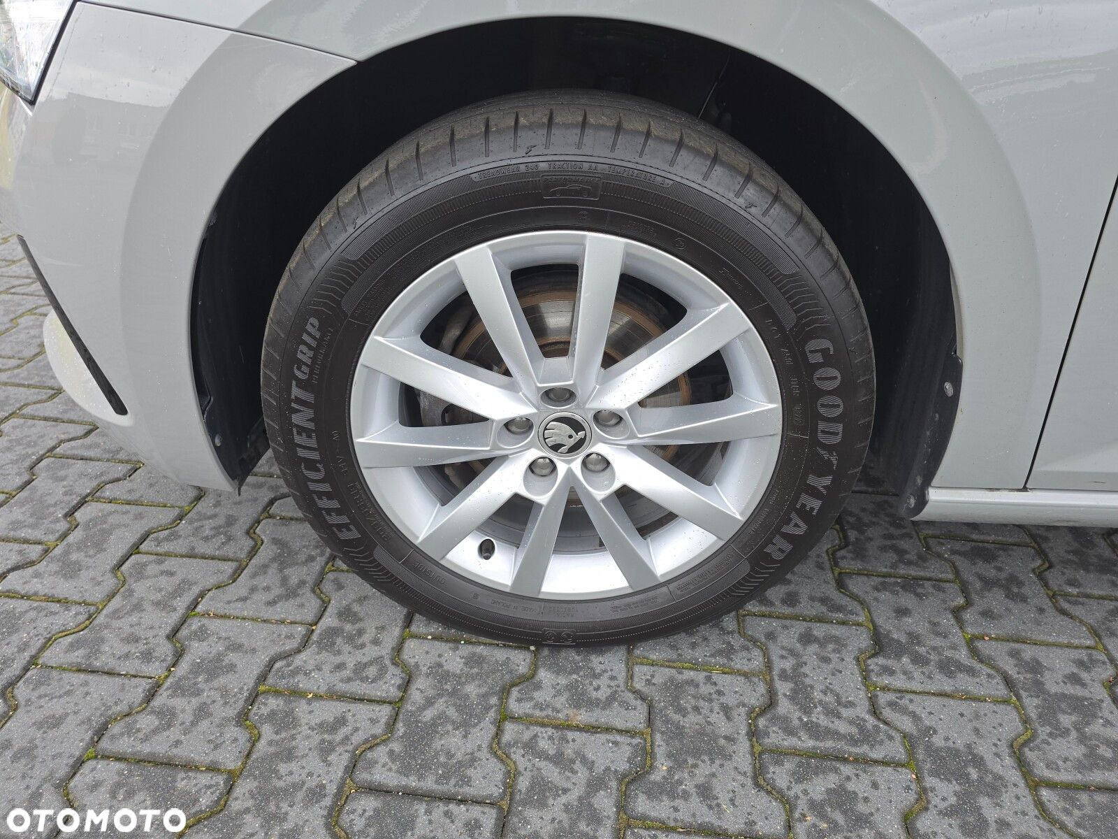 Skoda Scala - 29