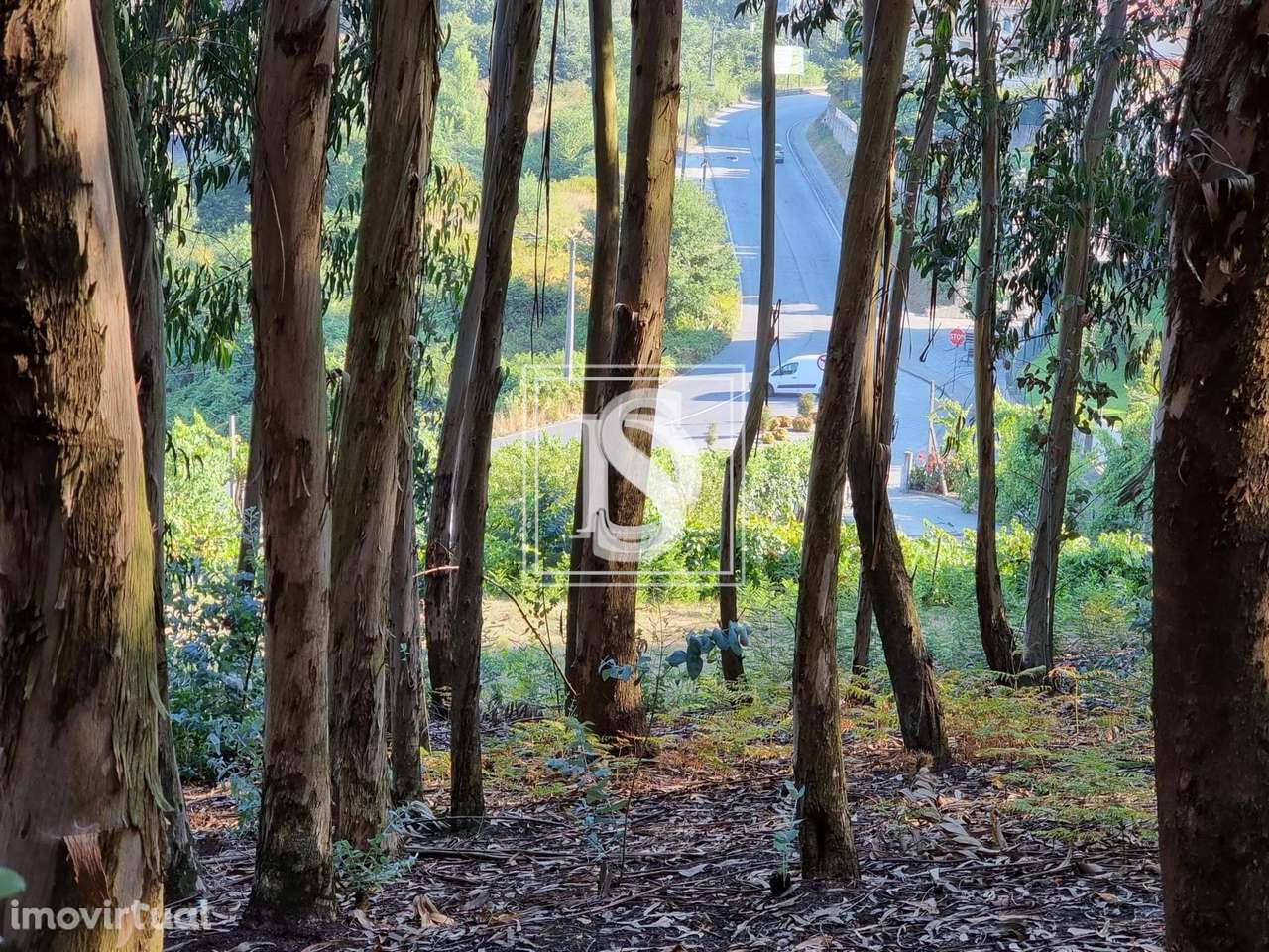 Terreno   em Arões (São Romão) - Grande imagem: 2/6