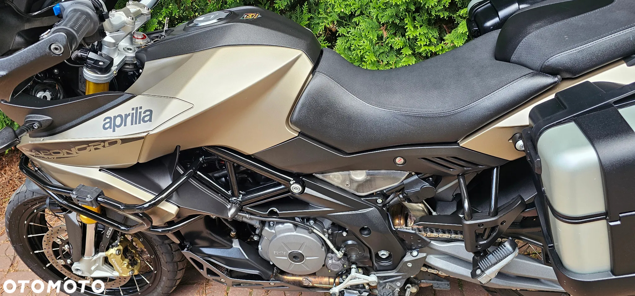 Aprilia Caponord - 16