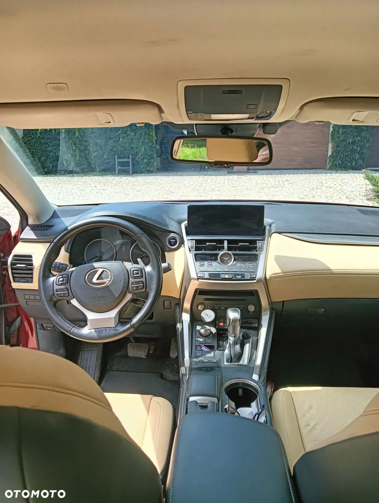 Lexus NX ver-300h-business-edition-awd - 13