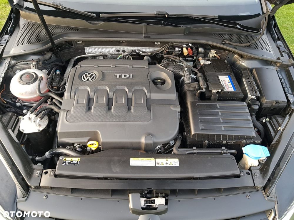 Volkswagen Golf - 17