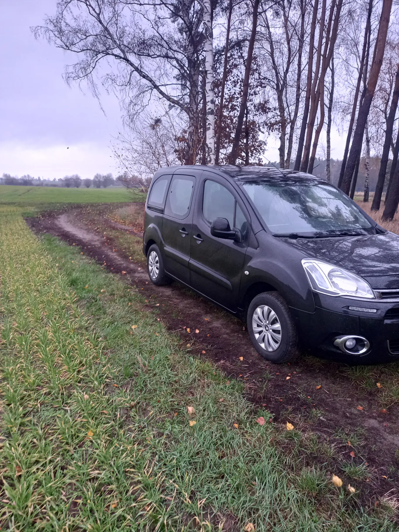 Citroën Berlingo 1.6 VTi Multispace - 6