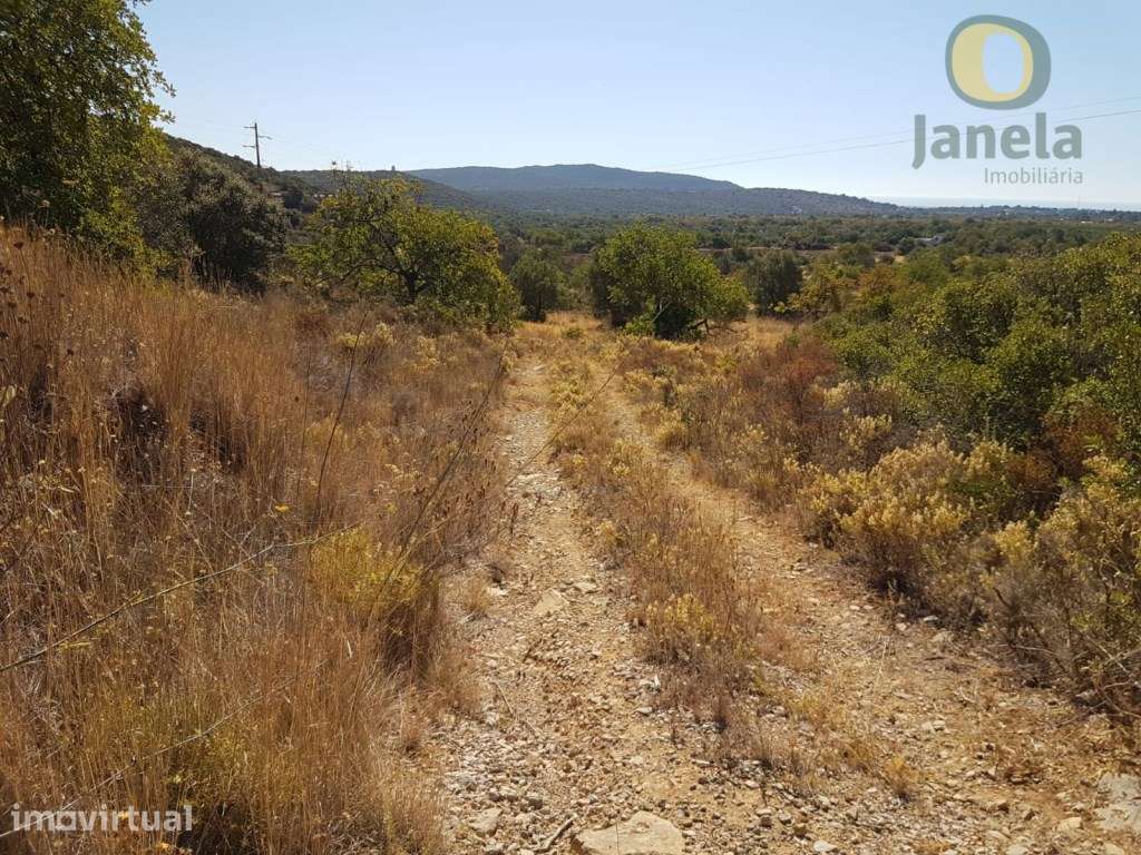 Ruína implantada em terreno com 2,85 hectares, com VISTA MAR - Grande imagem: 2/11