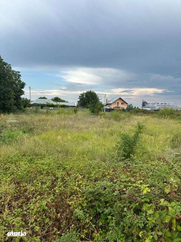 Florești - teren intravilan 3500mp - 15 Euro/mp - Imagine principală: 4/4