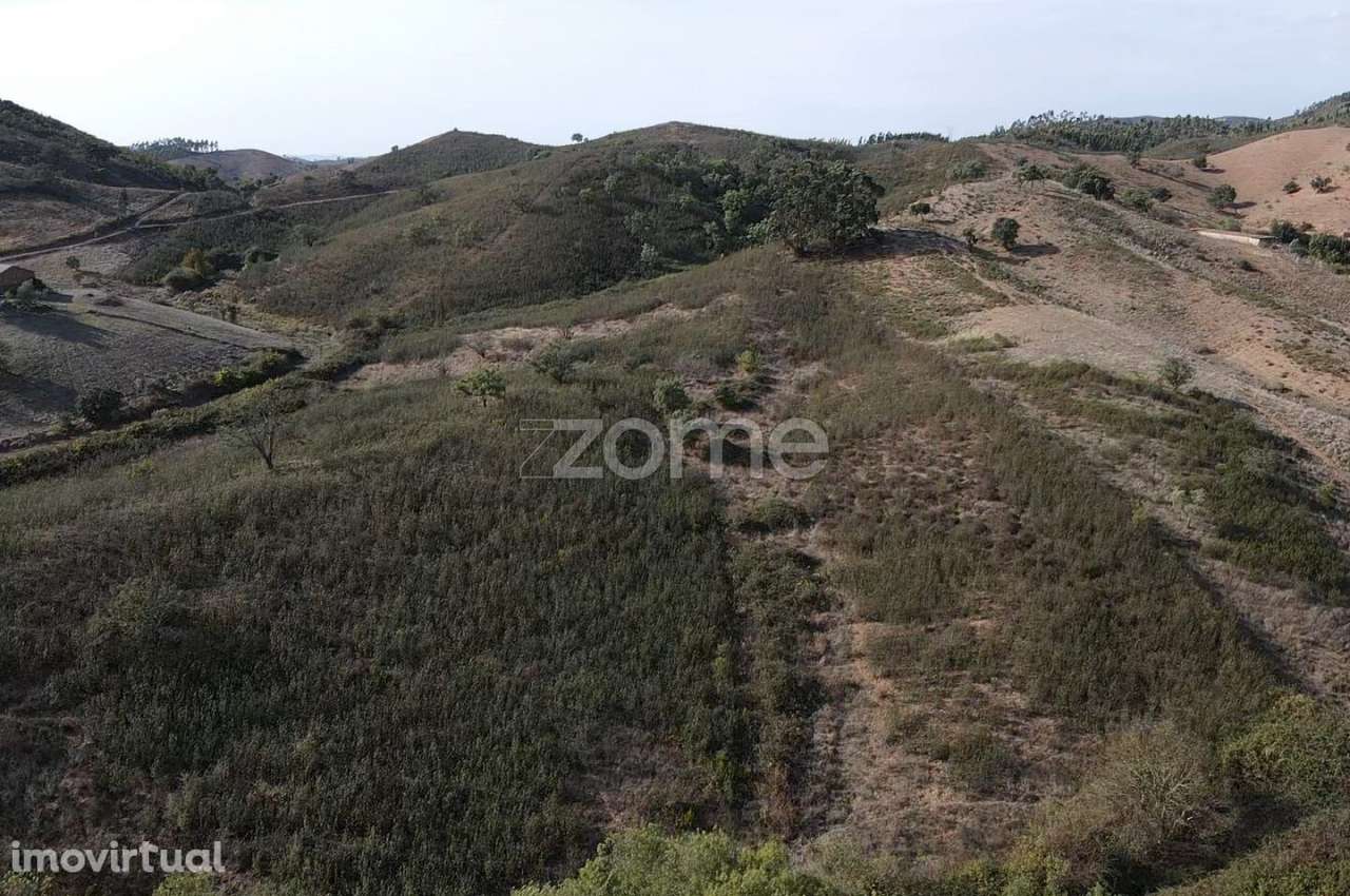 Ruína para recuperar em Corte Peral, S.M. da Serra c/ 136m2 - Grande imagem: 3/27